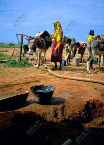 干旱非洲图片