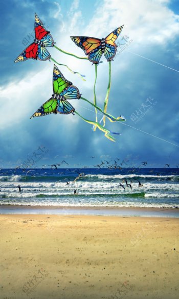 海边放风筝
