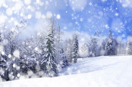 冬季美丽的雪景高清图片下载