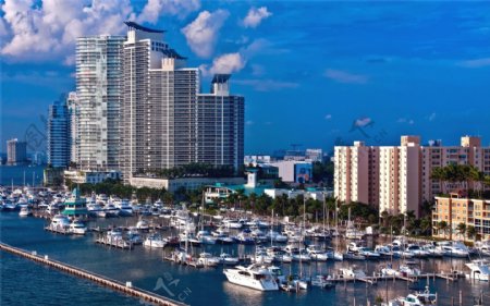 迈阿密城市一景图片