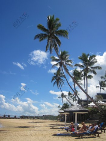斐济瓦奴瓦岛旅游度假村海边风光图片