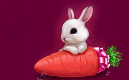 兔子萝卜图片