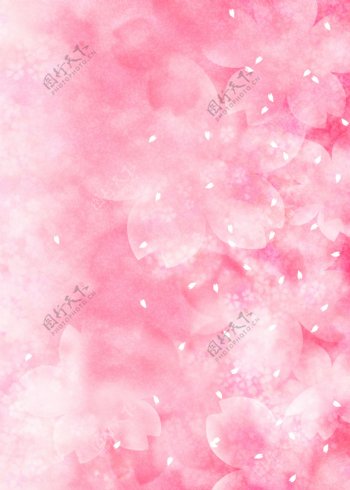 粉红花瓣背景