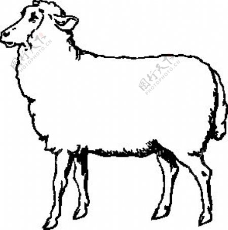 羊剪贴画
