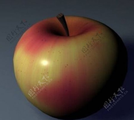 苹果模型