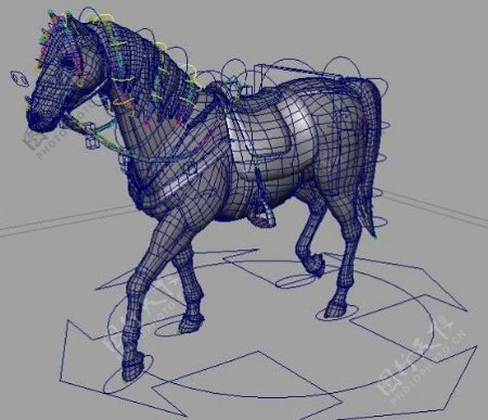 马模型
