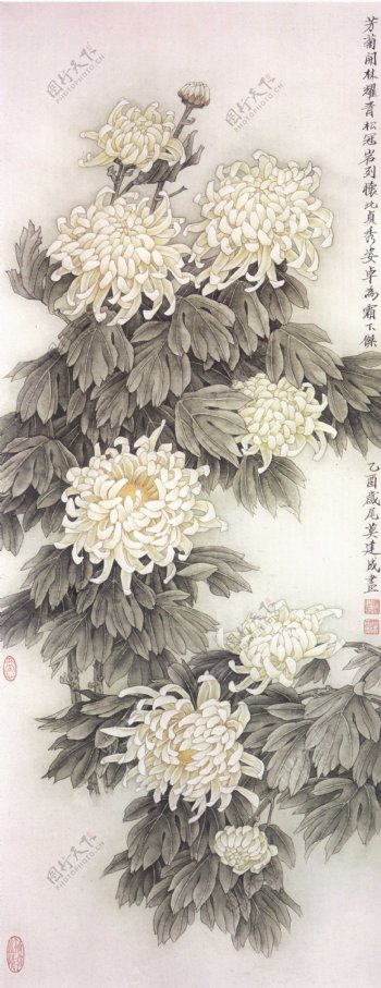 秋菊图