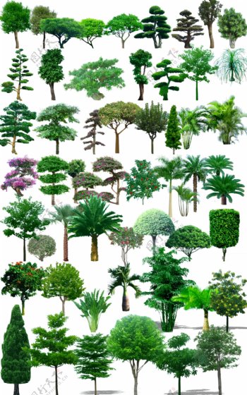 效果图素材植物素材效果图环境设计园林设计