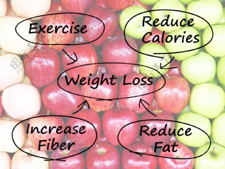 减肥图显示纤维运动的脂肪和卡路里