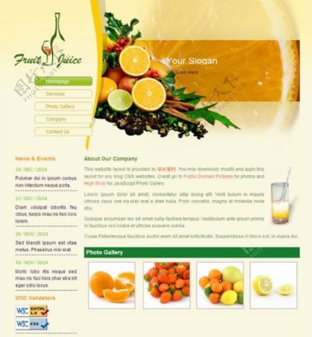 水果果汁CSS网页模板
