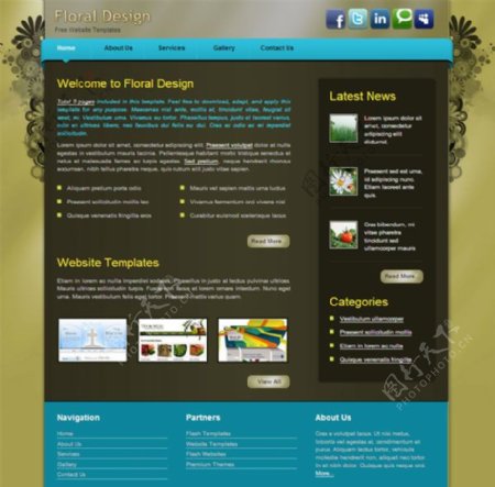 花卉设计CSS网页模板