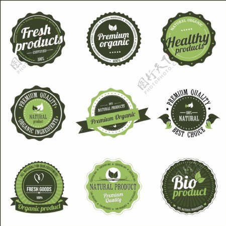 绿色食物图标与标签素材04