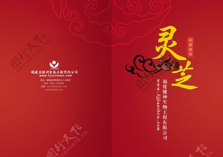 画册封面灵芝中国风传统大红