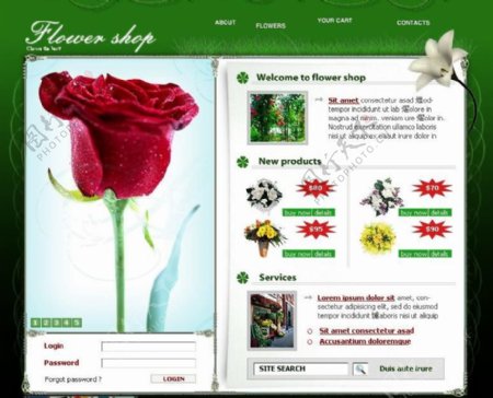 自然花茎网flash网站图片