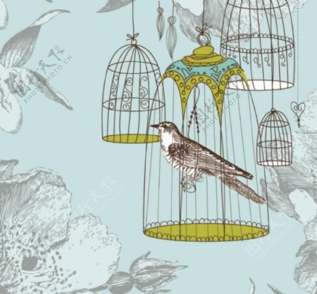 古典花纹小鸟鸟笼图片