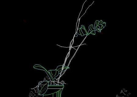 植物盆景花卉CAD饰物陈设图纸素材4