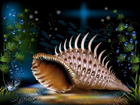 奇妙的海底水母和海螺矢量素材