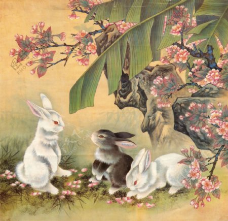生肖兔国画25