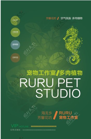 宠物植物海报设计
