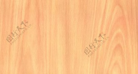 榉木27木纹木纹板材木质
