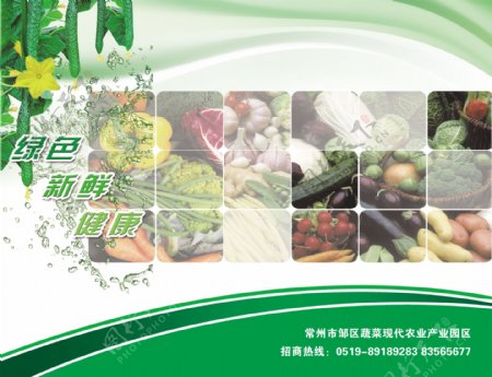 蔬菜园招商手册图片
