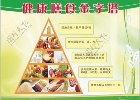 健康饮食金字塔图片