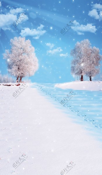 梦幻的雪景
