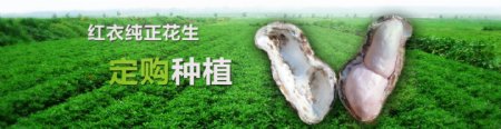农产网站banner
