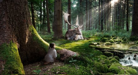 童话森林躲在森林大树下观察鹿的女孩