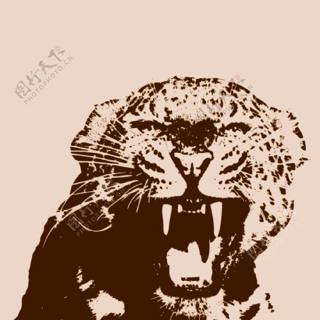 印花矢量图T恤图案动物头豹子色彩免费素材