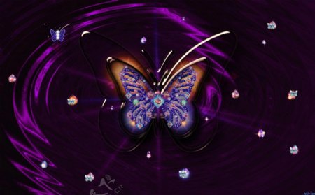 美丽的紫色立体蝴蝶