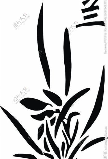 兰花logo图片