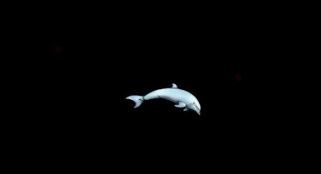 跳跃海豚特效展示视频