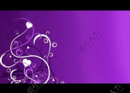 紫色花纹背景视频素材图片