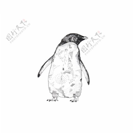 位图艺术效果手绘动物企鹅免费素材
