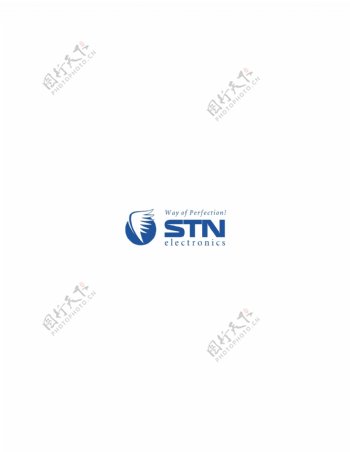 STNElectronicslogo设计欣赏STNElectronics网络公司LOGO下载标志设计欣赏