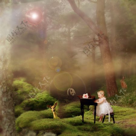 森林中的钢琴图片