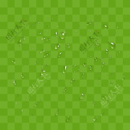 绿色水珠方格图片