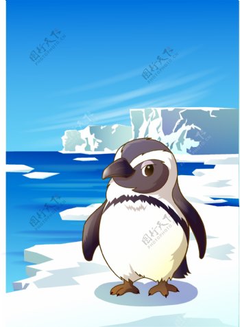 可爱动物绿色大企鹅图片