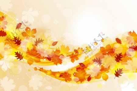 金秋季节树叶边框与背景矢量素材