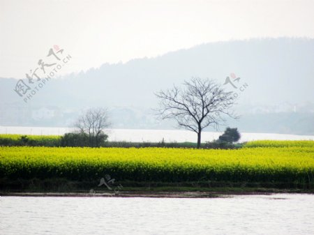 东屏湖图片