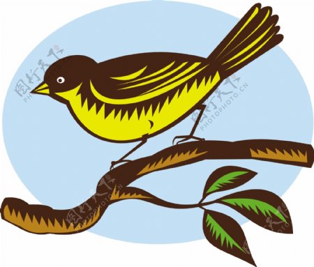 新西兰扇形树枝上的鸟