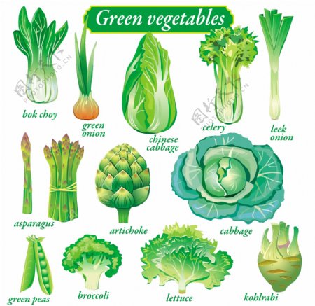 健康绿色美味蔬菜矢量素材