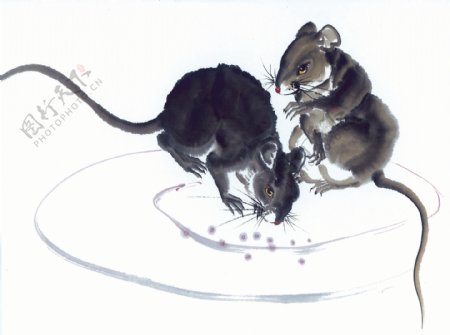 中华艺术绘画古画动物绘画老鼠耗子中国古代绘画