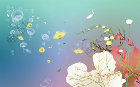 梦幻系列水母的世界图片