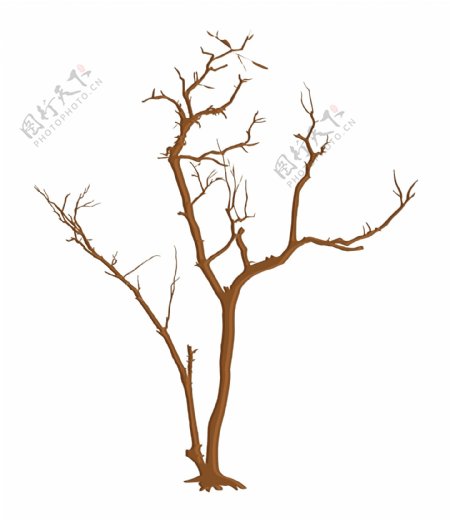 闹鬼的死树的树枝