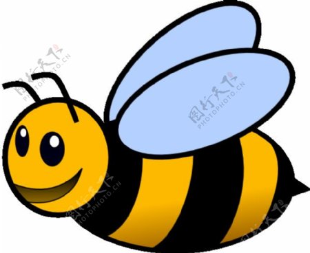 蜜蜂的剪辑艺术10