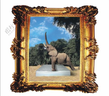 大象相框图片