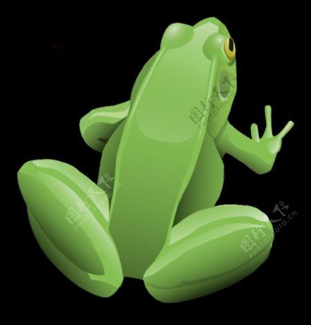 绿色青蛙坐