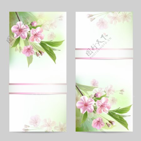 春天鲜花花卡图片